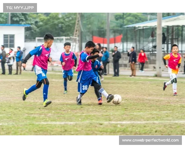 意甲俱乐部社区活动扩大，青少年培训计划启动